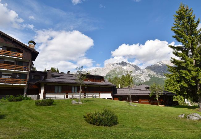 Appartamento a Madonna di Campiglio - Green Appartamento Appartamento a Madonna di Campiglio - Green Appartamento