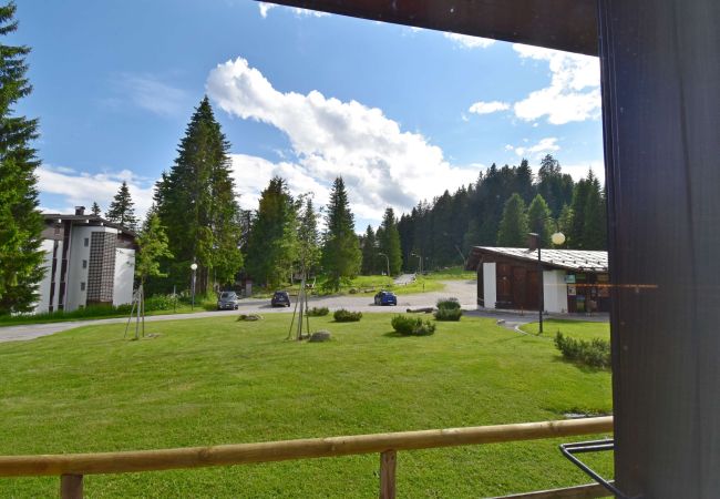 Appartamento a Madonna di Campiglio - Green Appartamento Appartamento a Madonna di Campiglio - Green Appartamento