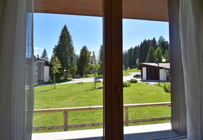Appartamento a Madonna di Campiglio - Green Appartamento Appartamento a Madonna di Campiglio - Green Appartamento
