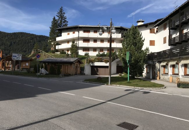 living-brenta-vista-esterna-appartamento-affitto-Myhome-dolomiti appartamento-affitto-Madonna-di-Campiglio-Myhome-Dolomiti