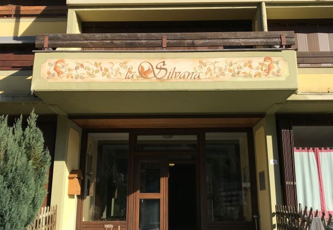 Appartamento a Madonna di Campiglio - SILVANA 124 APARTMENT Appartamento a Madonna di Campiglio - SILVANA 124 APARTMENT