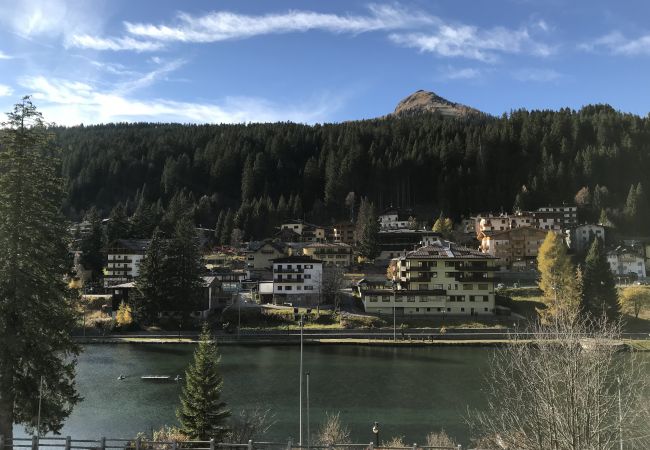 silvana-124-vista-balcone-appartamento-affitto-Myhome-dolomiti appartamento-affitto-Madonna-di-Campiglio-Myhome-Dolomiti