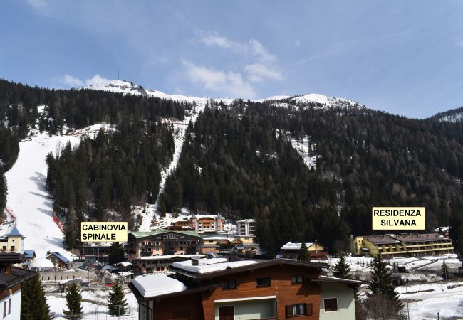 silvana-124-posizione-spinale-appartamento-affitto-Myhome-dolomiti appartamento-affitto-Madonna-di-Campiglio-Myhome-Dolomiti