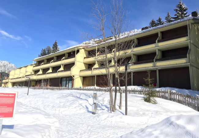 Appartamento a Madonna di Campiglio - SILVANA 124 APARTMENT Appartamento a Madonna di Campiglio - SILVANA 124 APARTMENT