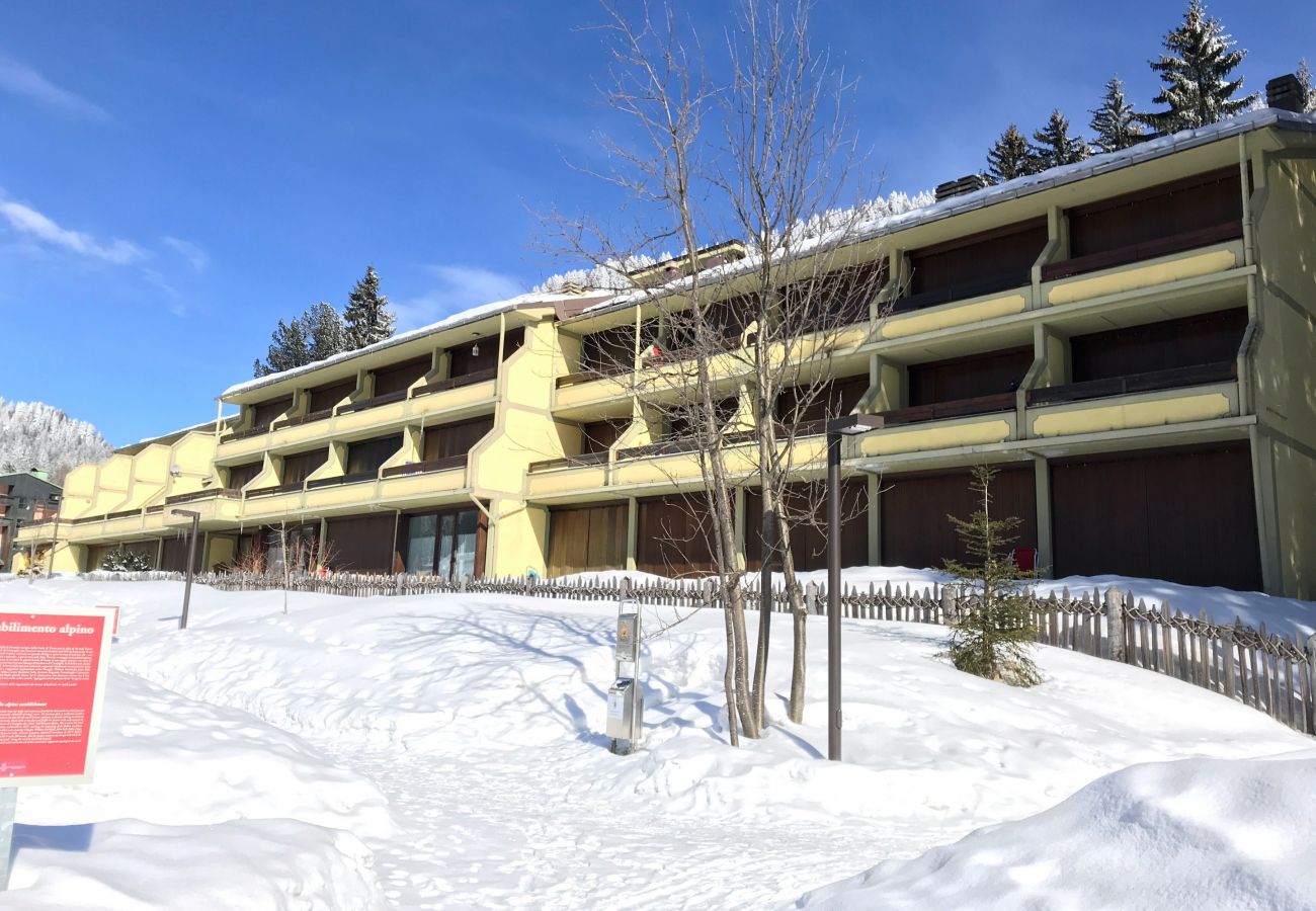 Appartamento a Madonna di Campiglio - SILVANA 124 APARTMENT Appartamento a Madonna di Campiglio - SILVANA 124 APARTMENT