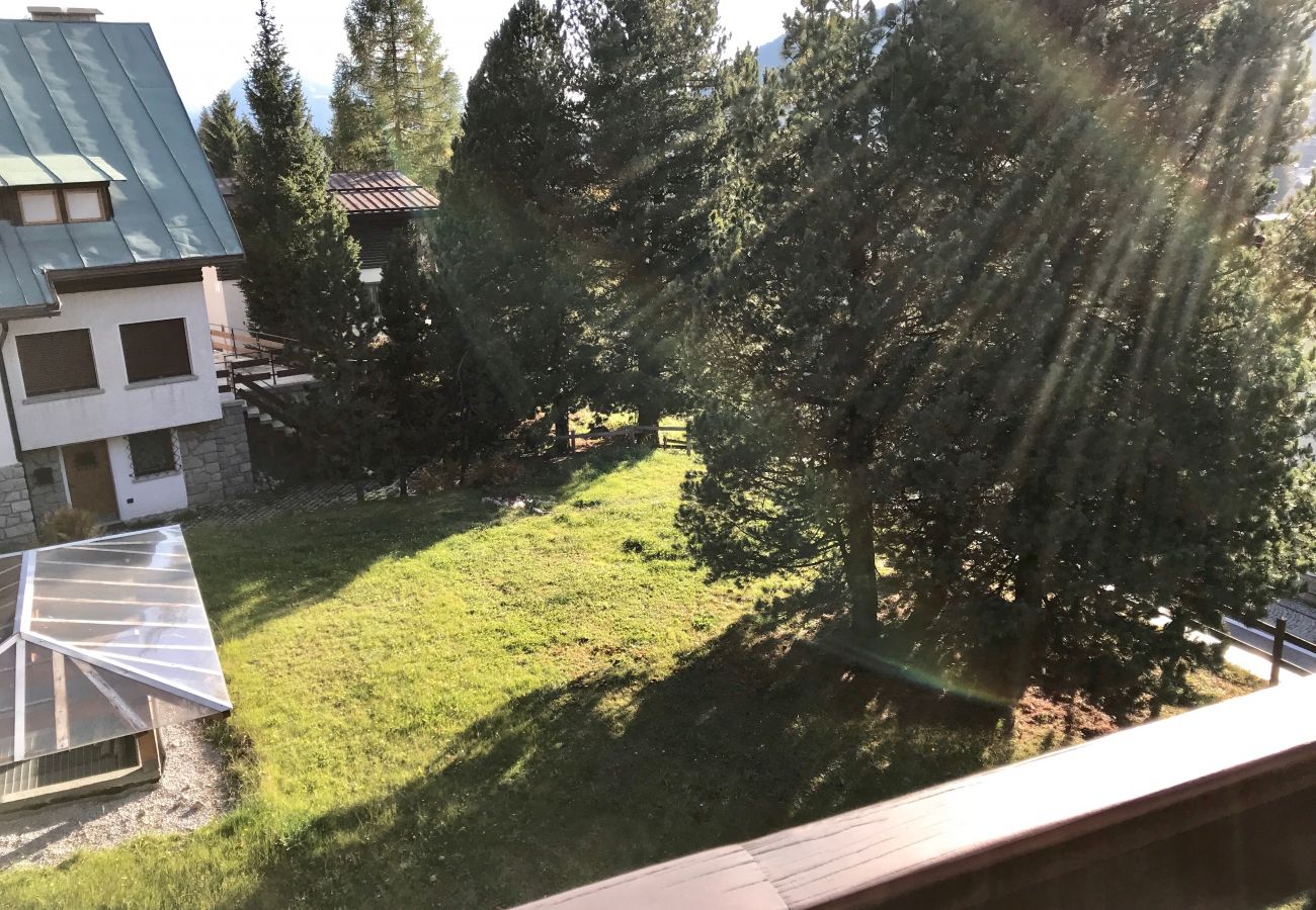 2-abeti-vista-balcone-appartamento-myhome-dolomiti appartamento-affitto-Madonna-di-Campiglio-Myhome-Dolomiti
