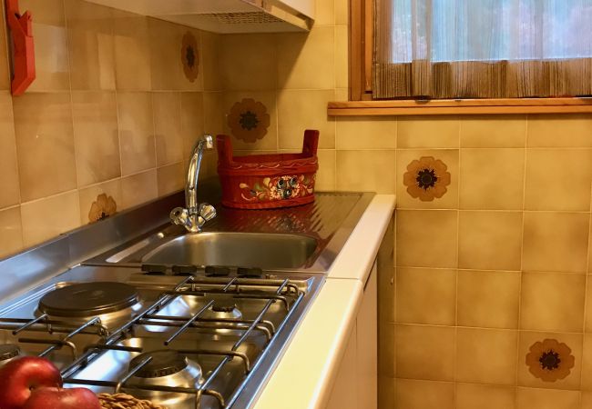 miralago-04-cucina-appartamento-affitto-Myhome-dolomiti appartamento-affitto-Madonna-di-Campiglio-Myhome-Dolomiti