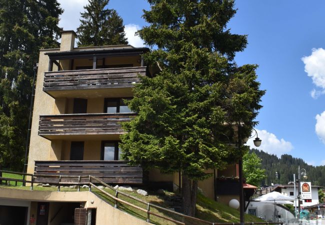 Appartamento a Madonna di Campiglio - MIRALAGO 04 APPARTAMENTO Appartamento a Madonna di Campiglio - MIRALAGO 04 APPARTAMENTO