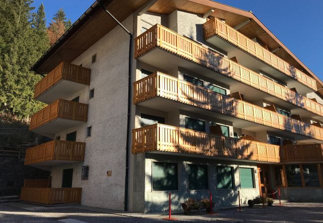 fevri-studio-esterno-appartamento-affitto-Myhome-dolomiti appartamento-affitto-Madonna-di-Campiglio-Myhome-Dolomiti