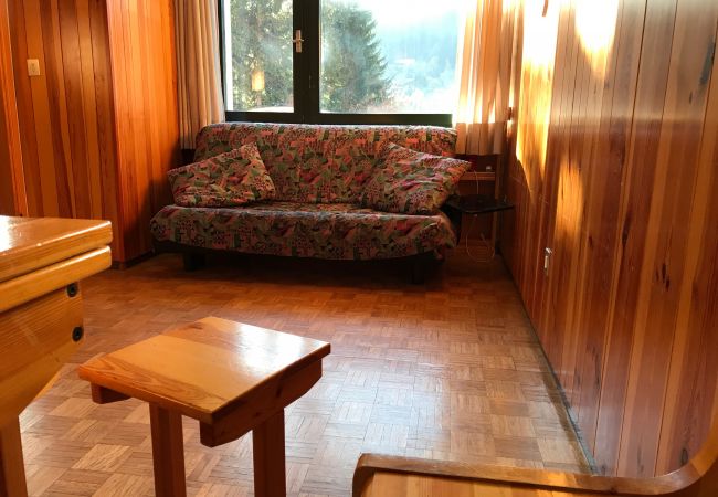 fevri-studio-soggiorno-divano-appartamento-affitto-Myhome-dolomiti appartamento-affitto-Madonna-di-Campiglio-Myhome-Dolomiti