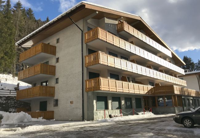 Studio a Madonna di Campiglio - FEVRI STUDIO Studio a Madonna di Campiglio - FEVRI STUDIO