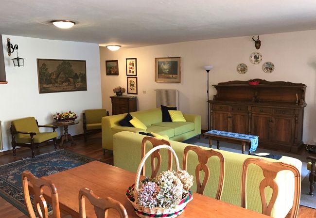 edith-17-soggiorno-appartamento-affitto-Myhome-dolomiti appartamento-affitto-Madonna-di-Campiglio-Myhome-Dolomiti