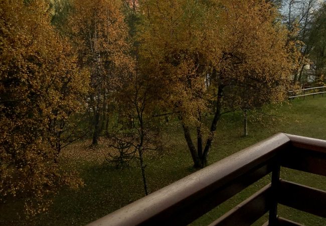 pramagnan-barat-balcone-appartamento-affitto-Myhome-dolomiti appartamento-affitto-Madonna-di-Campiglio-Myhome-Dolomiti