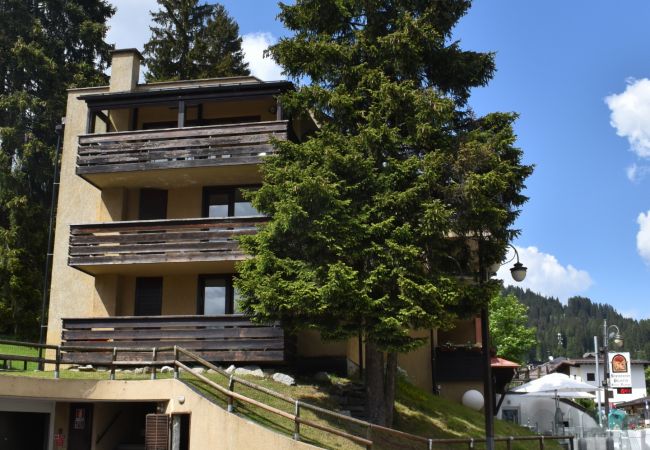 Appartamento a Madonna di Campiglio - MIRALAGO 09 APARTMENT Appartamento a Madonna di Campiglio - MIRALAGO 09 APARTMENT