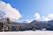 Studio a Madonna di Campiglio - Carlo Magno Studio apartment