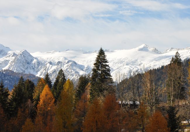 Casa rurale a Madonna di Campiglio - CHALET CAMPIGLIO DOSS Casa rurale a Madonna di Campiglio - CHALET CAMPIGLIO DOSS