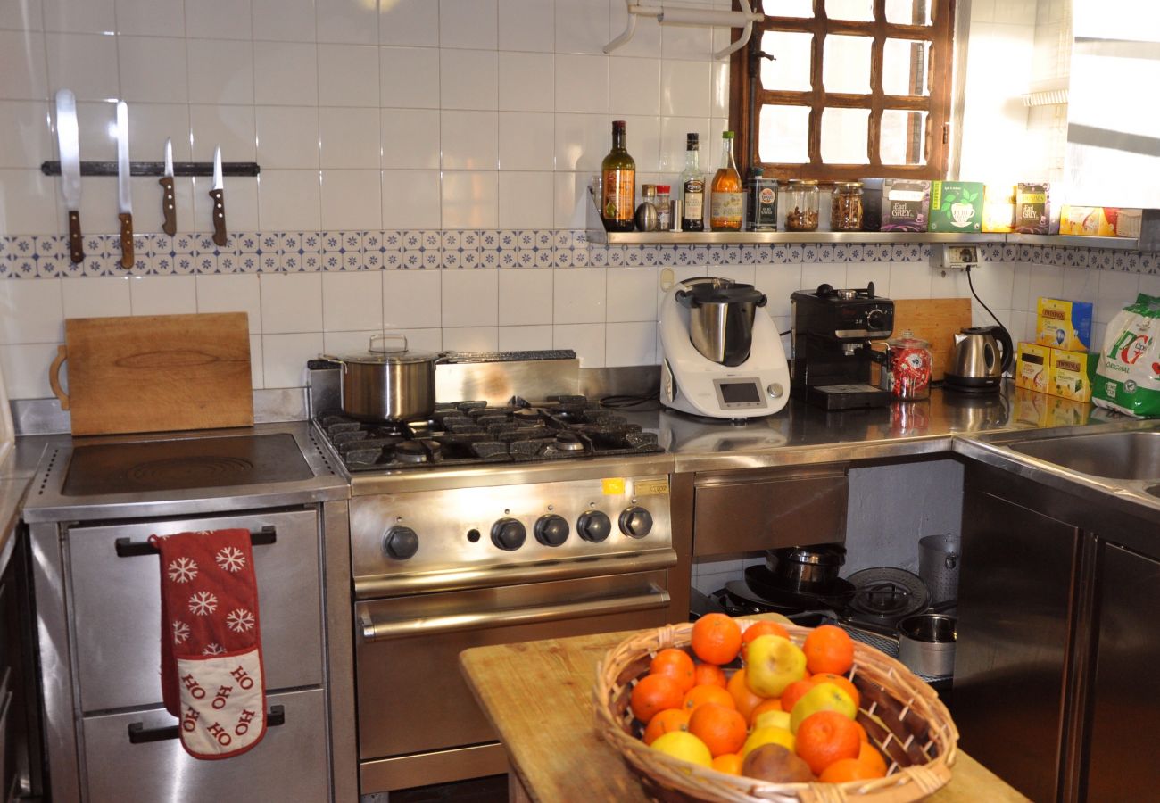 chalet-caampiglio-doss-Apartment-cucina-appartamento-myhome-dolomiti appartamento-affitto-Madonna-di-Campiglio-Myhome-Dolomiti