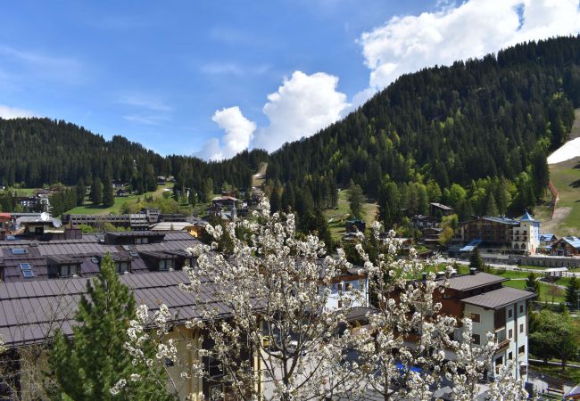 ville-dolomiti-vista-appartamento-affitto-Myhome-dolomiti appartamento-affitto-Madonna-di-Campiglio-Myhome-Dolomiti