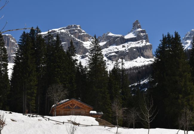 Villetta a Madonna di Campiglio - CHALET BRENTA DOLOMITES Villetta a Madonna di Campiglio - CHALET BRENTA DOLOMITES