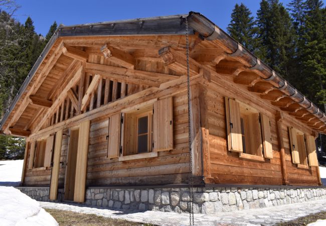 chalet, brenta, vallesinella, madonna, di, campiglio, myhome, dolomiti Chalet-Madonna-di-Campiglio-affitto-vacanza-Vallesinella-Dolomiti-Parco-Adamello-Brenta-Myhome