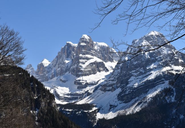 Villetta a Madonna di Campiglio - CHALET BRENTA DOLOMITES Villetta a Madonna di Campiglio - CHALET BRENTA DOLOMITES