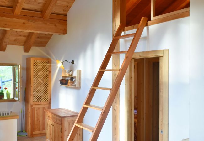 Chalet-Brenta-Dolomites-zona-living-affitto-Madonna-di-Campiglio appartamento-affitto-Madonna-di-Campiglio-Myhome-Dolomiti