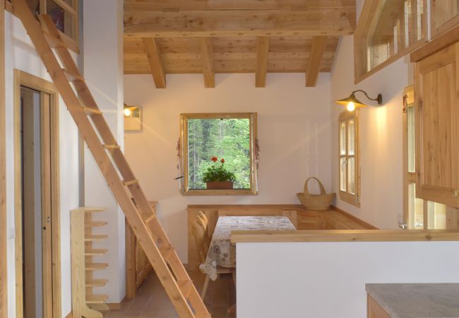 Chalet-Brenta-Dolomites-zona-living-affitto-Madonna-di-Campiglio appartamento-affitto-Madonna-di-Campiglio-Myhome-Dolomiti