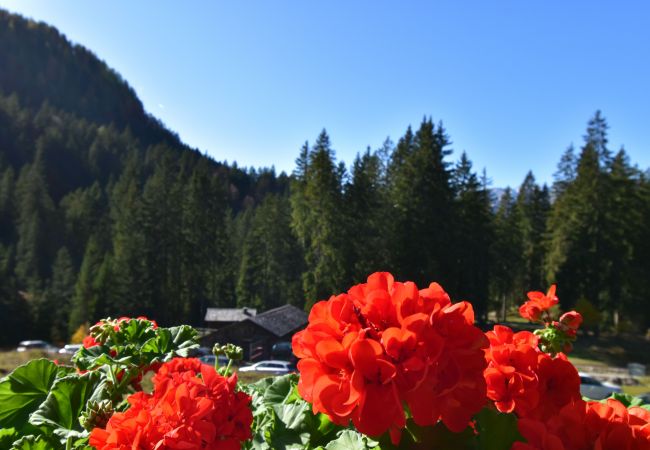 Villetta a Madonna di Campiglio - CHALET BRENTA DOLOMITES Villetta a Madonna di Campiglio - CHALET BRENTA DOLOMITES