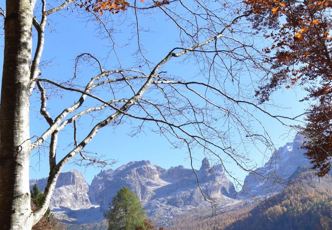 Villetta a Madonna di Campiglio - CHALET BRENTA DOLOMITES Villetta a Madonna di Campiglio - CHALET BRENTA DOLOMITES