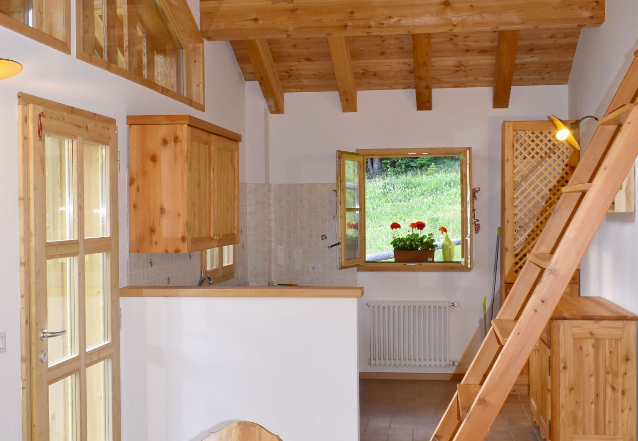 Chalet-Brenta-Dolomites-zona-living-affitto-Madonna-di-Campiglio appartamento-affitto-Madonna-di-Campiglio-Myhome-Dolomiti