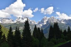 Appartamento a Madonna di Campiglio - Genziana Apartment MhD