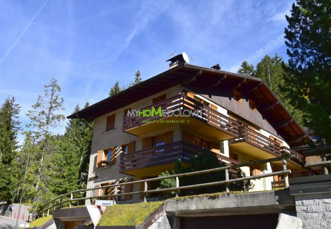 Appartamento a Madonna di Campiglio - 2 ABETI MANSARDA Apartment MhD Appartamento a Madonna di Campiglio - 2 ABETI MANSARDA Apartment MhD