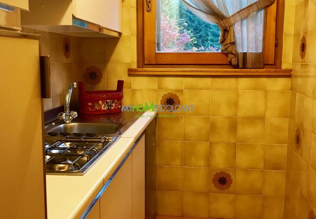 miralago-04-cucina-appartamento-affitto-Myhome-dolomiti  appartamento-affitto-Madonna-di-Campiglio-Myhome-Dolomiti