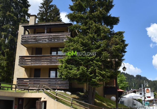 Appartamento a Madonna di Campiglio - MIRALAGO 04 APPARTAMENTO MhD Appartamento a Madonna di Campiglio - MIRALAGO 04 APPARTAMENTO MhD