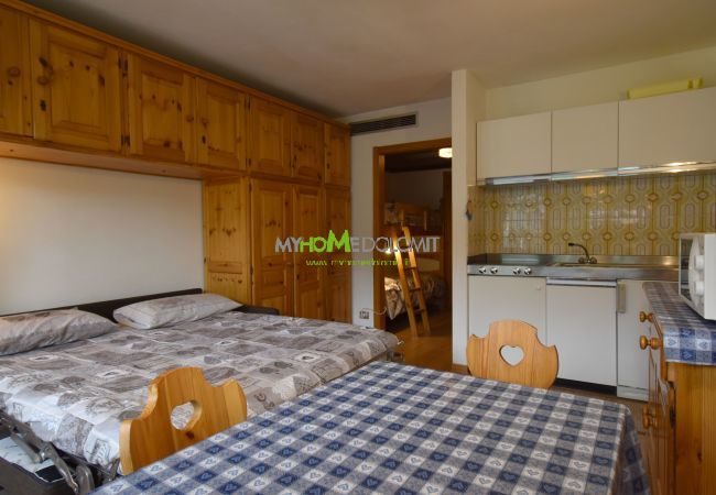 Studio a Madonna di Campiglio - SILVANA 114 Studio MhD Studio a Madonna di Campiglio - SILVANA 114 Studio MhD
