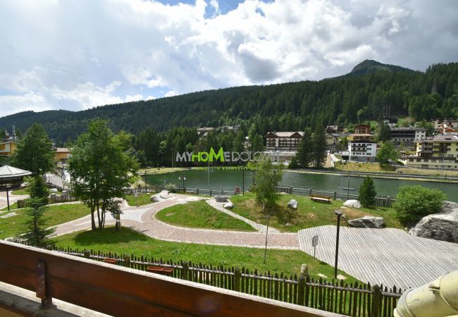 Studio a Madonna di Campiglio - SILVANA 114 Studio MhD Studio a Madonna di Campiglio - SILVANA 114 Studio MhD