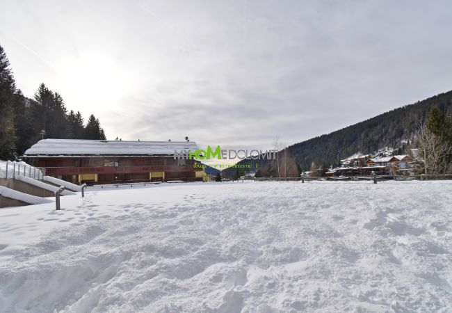 Studio a Madonna di Campiglio - SPINALE DEL SOGNO Studio a Madonna di Campiglio - SPINALE DEL SOGNO