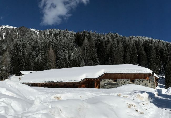 Ferienwohnung in Madonna di Campiglio - NAMBINO APARTMENT Ferienwohnung in Madonna di Campiglio - NAMBINO APARTMENT