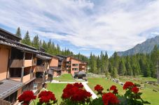 Ferienwohnung in Madonna di Campiglio - RIO FALZE' WOOD Apartment