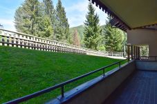 Ferienwohnung in Madonna di Campiglio - Presanella Home 4 MhD