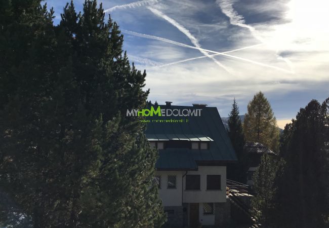 Ferienwohnung in Madonna di Campiglio - 2 ABETI MANSARDA Apartment MhD Ferienwohnung in Madonna di Campiglio - 2 ABETI MANSARDA Apartment MhD
