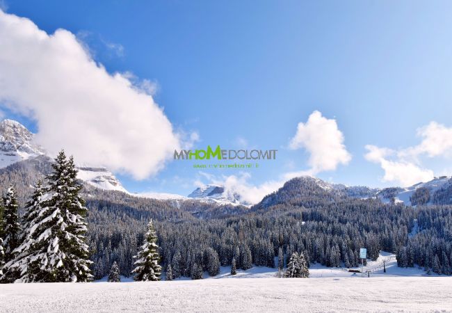 Studio in Madonna di Campiglio - Carlo Magno Studio apartment Studio in Madonna di Campiglio - Carlo Magno Studio apartment