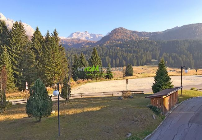 Studio in Madonna di Campiglio - Carlo Magno Studio apartment Studio in Madonna di Campiglio - Carlo Magno Studio apartment