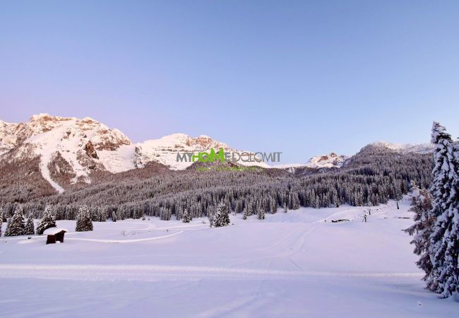 Studio in Madonna di Campiglio - Carlo Magno Studio apartment Studio in Madonna di Campiglio - Carlo Magno Studio apartment