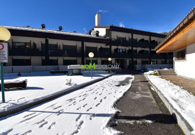 Studio in Madonna di Campiglio - Nardis WOOD  133 New Studio Studio in Madonna di Campiglio - Nardis WOOD  133 New Studio