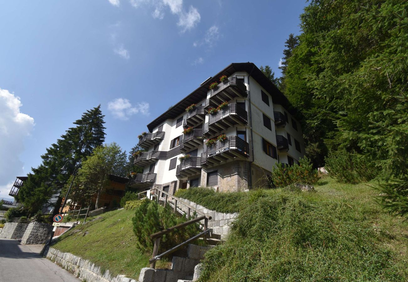 Apartment in Madonna di Campiglio - 3 PINI APPARTAMENTO Apartment in Madonna di Campiglio - 3 PINI APPARTAMENTO