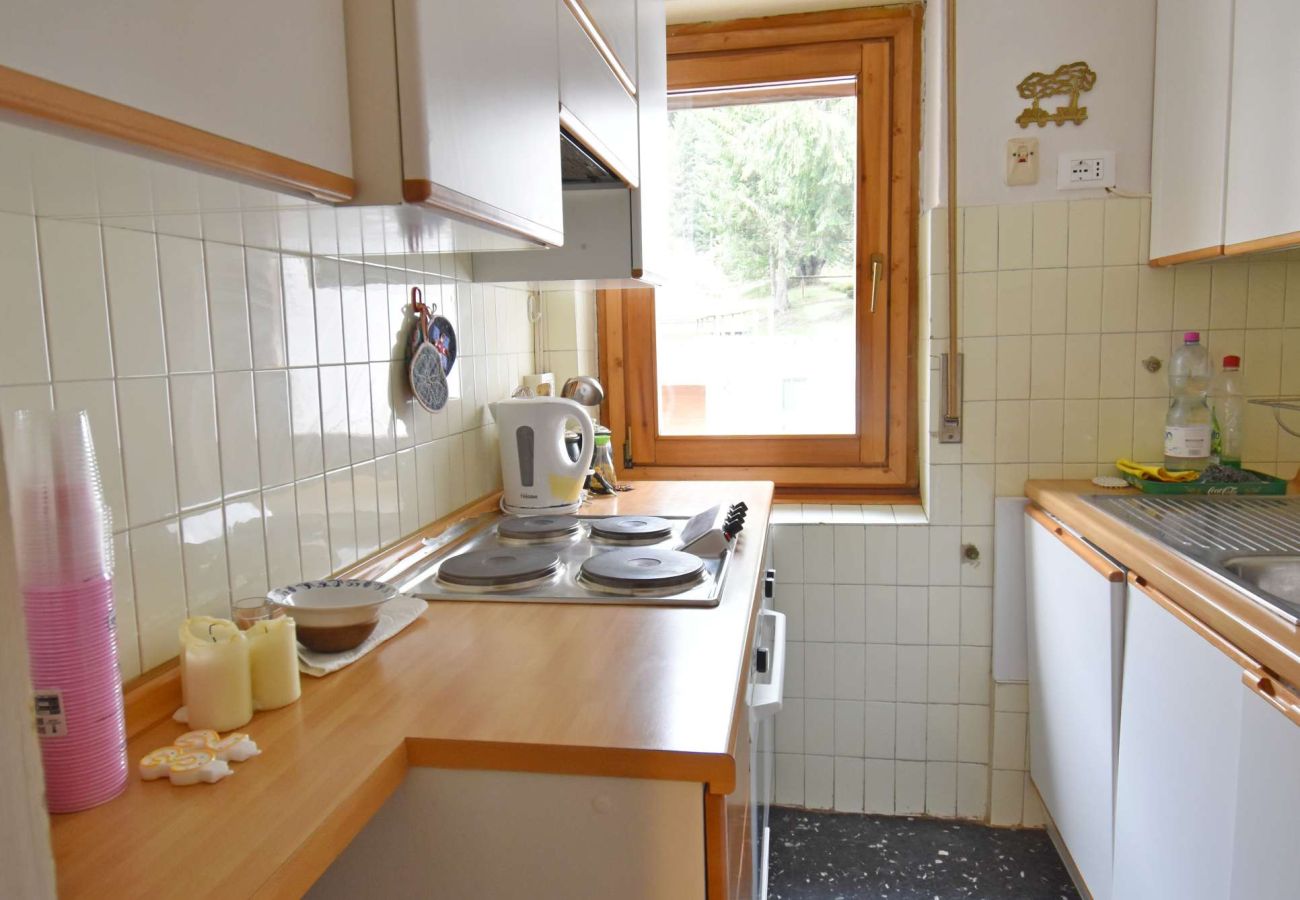 Apartment in Madonna di Campiglio - PRADALAGO QUADRILOCALE Apartment in Madonna di Campiglio - PRADALAGO QUADRILOCALE