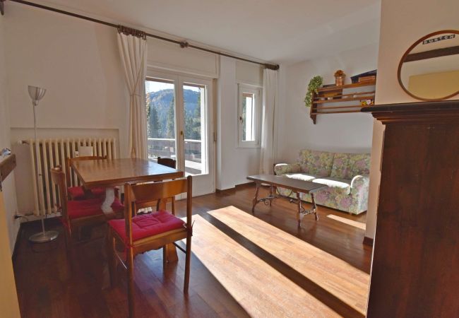 Apartment in Madonna di Campiglio - COL GROSTE` APPARTAMENTO TRILOCALE