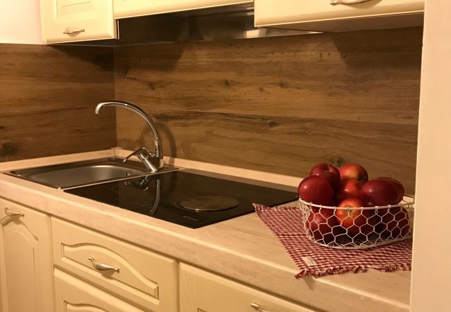nardis-109-kitchen-apartment-rent-Myhome-dolomiti Holiday-apartment-rent-Madonna-di-Campiglio-Myhome-Dolomiti