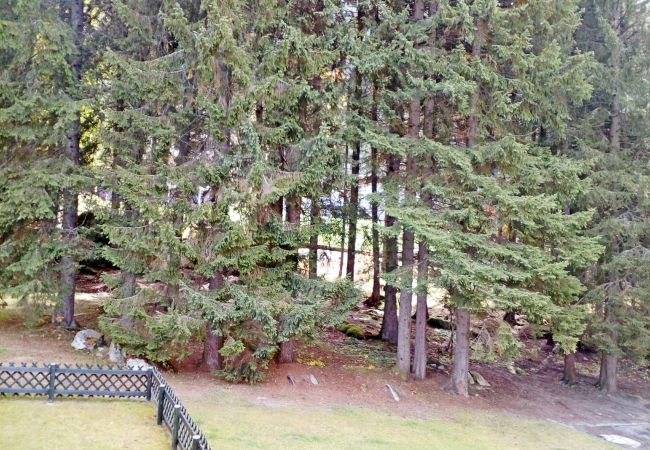 silvana-132-terrace-apartment-rent-Myhome-dolomiti Holiday-apartment-rent-Madonna-di-Campiglio-Myhome-Dolomiti